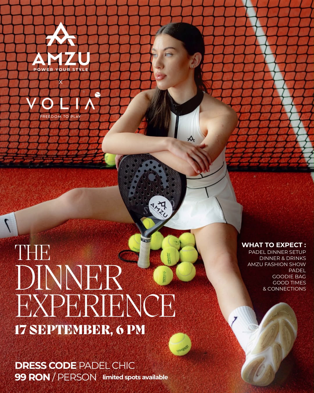 THE DINNER EXPERIENCE