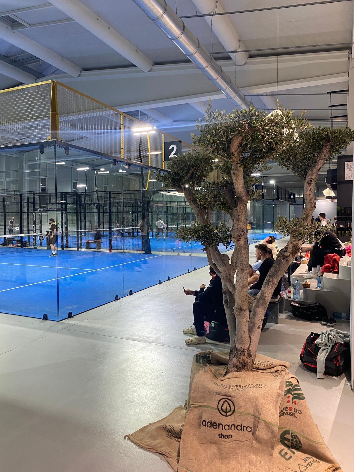 Padel Zone Oradea